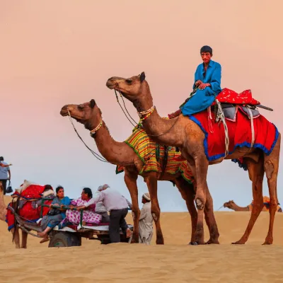 Camel safari