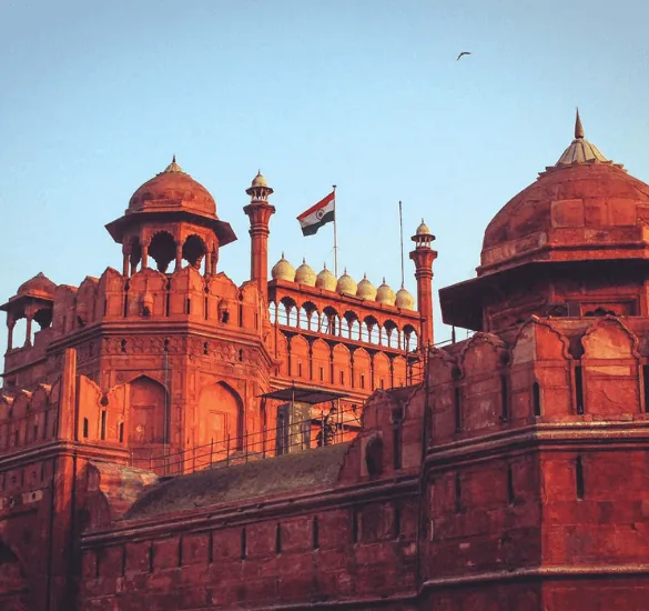 Delhi tour guide