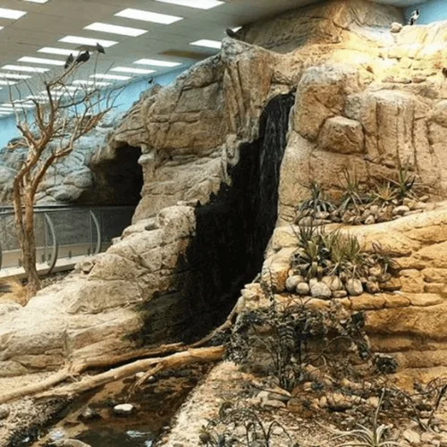 Desert museum