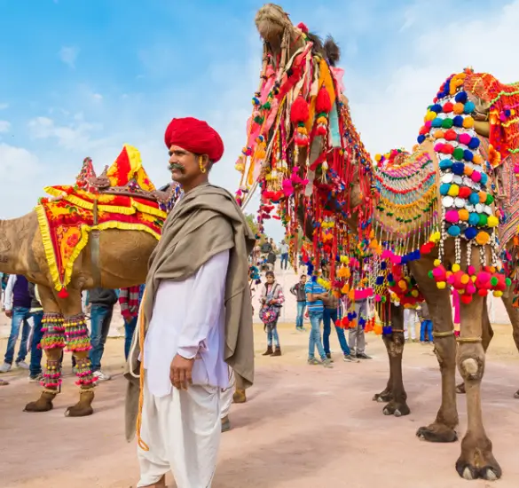 Jaipur tour g