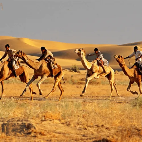 jaisalmer (2)