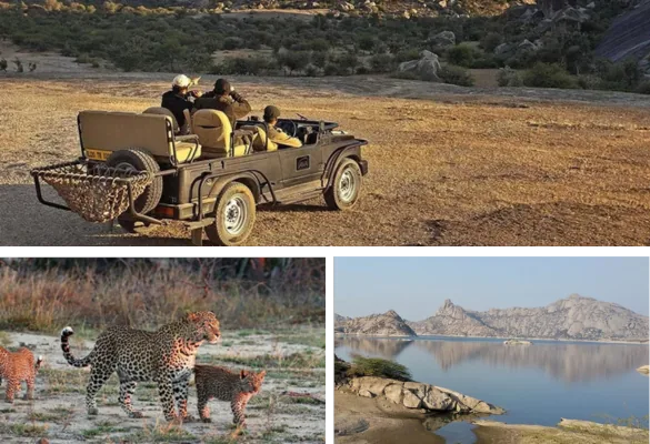 Jawai tour package