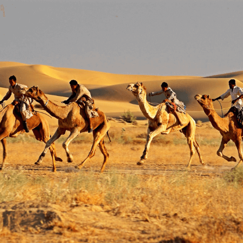 jaisalmer (2)